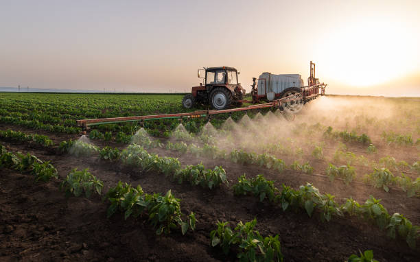 Best Pest Prevention Services  in Horatio, AR