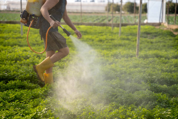 Best Pest Inspection Near Me  in Horatio, AR