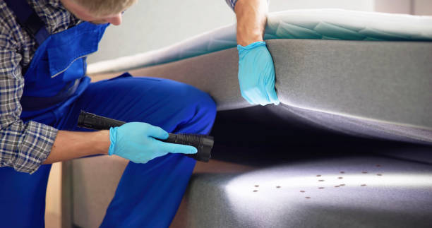 Best Local Pest Control Services  in Horatio, AR
