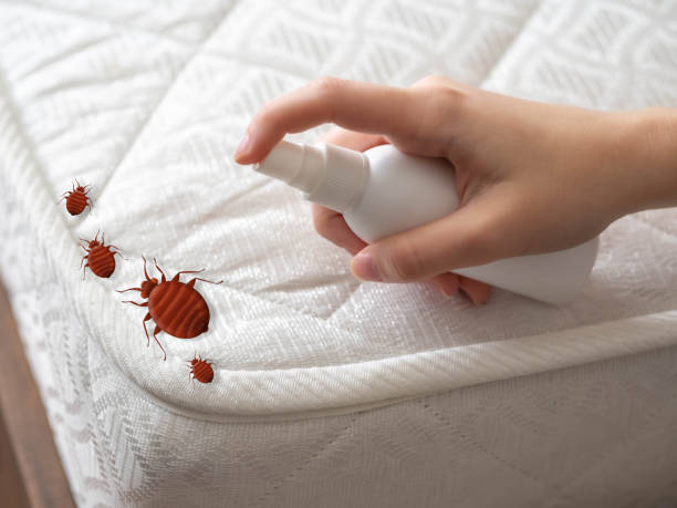 Best Best Pest Control Companies  in Horatio, AR